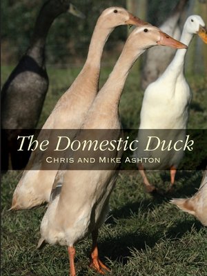 cover image of Domestic Duck
